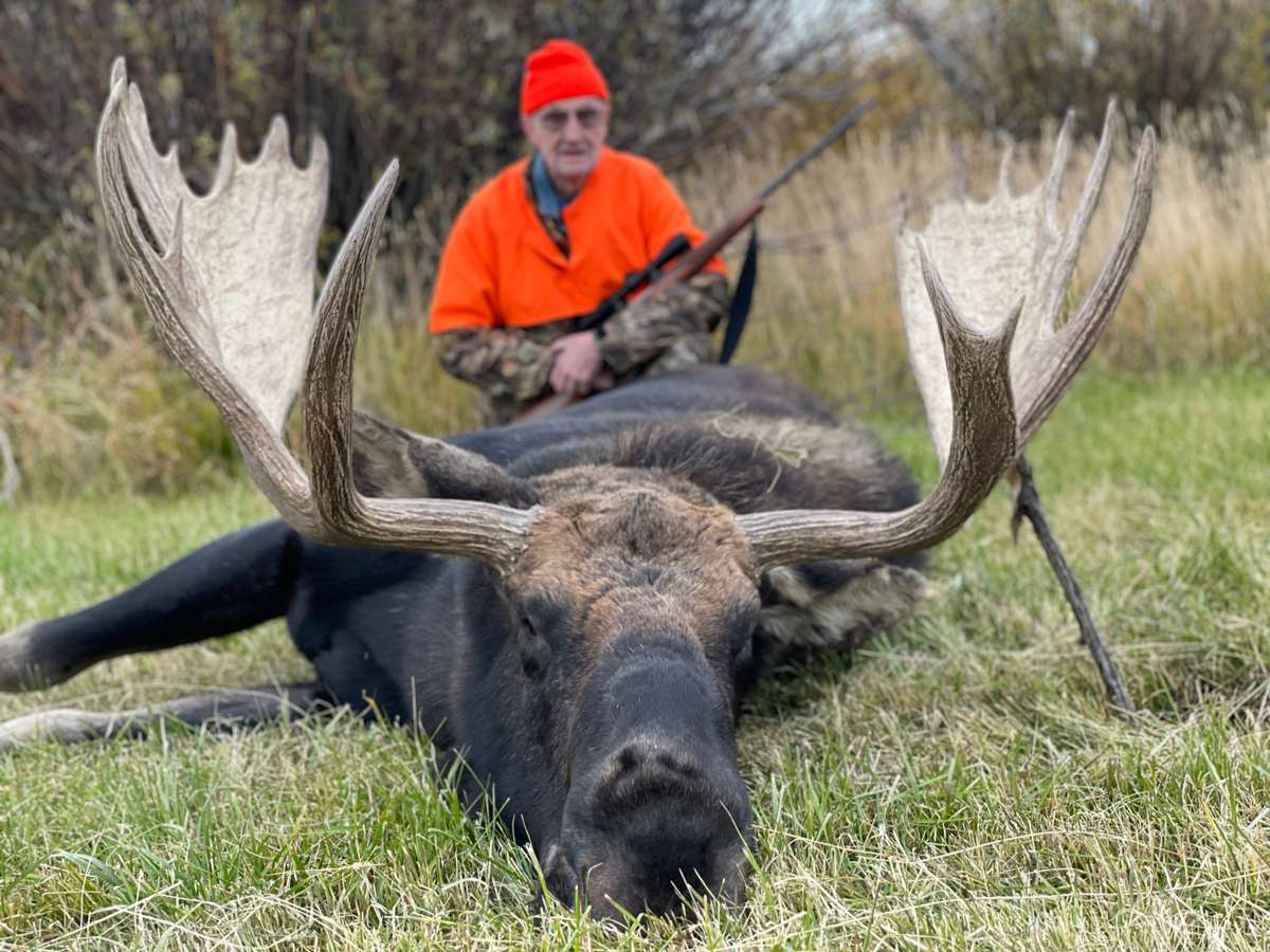 Colorado Shiras Moose Hunting Outfitters Guided Moose Hunts Colorado